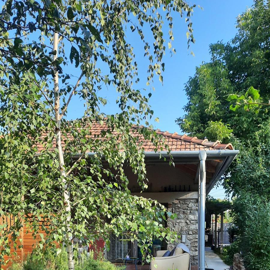 Patak Apartman, Diszel Tapolca Dış mekan fotoğraf