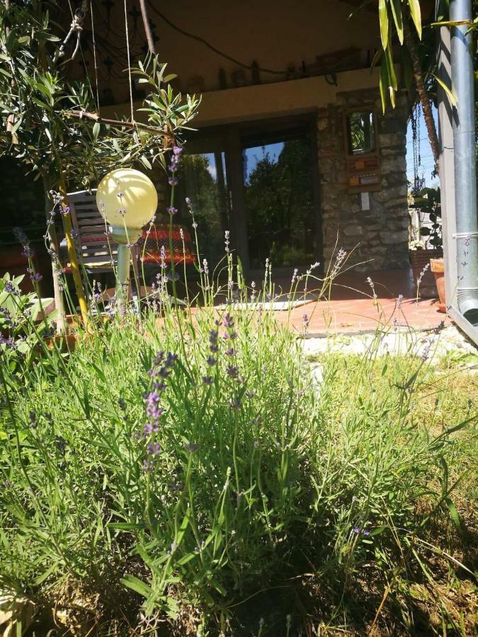Patak Apartman, Diszel Tapolca Dış mekan fotoğraf