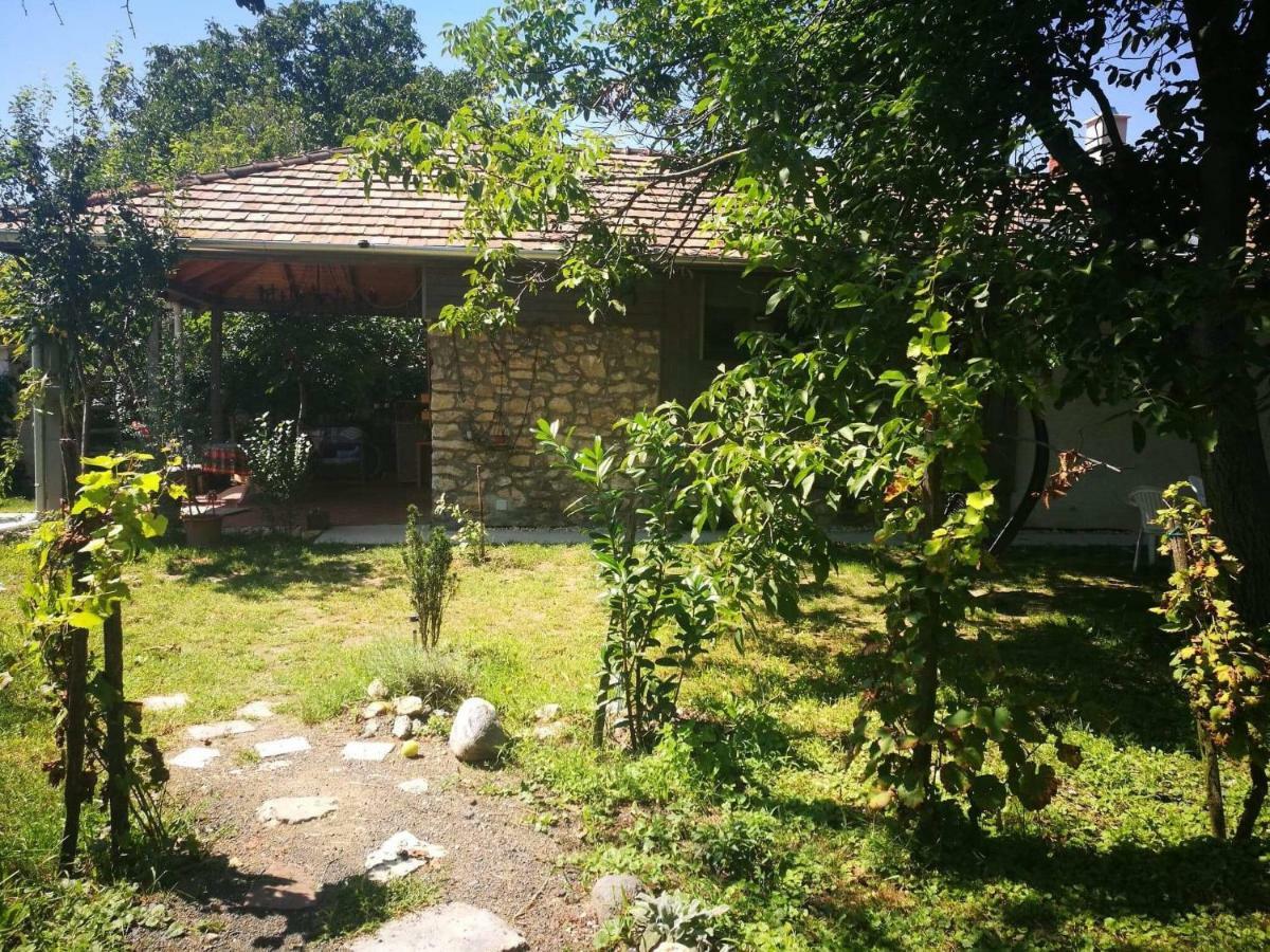 Patak Apartman, Diszel Tapolca Dış mekan fotoğraf