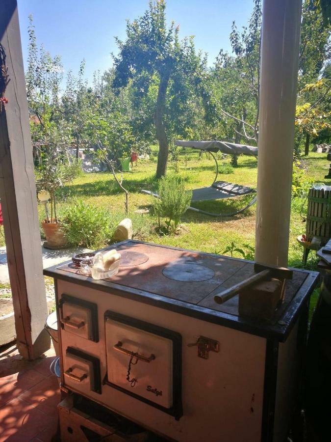 Patak Apartman, Diszel Tapolca Dış mekan fotoğraf